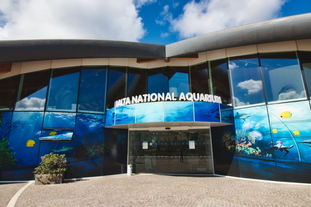 Malta National Aquarium